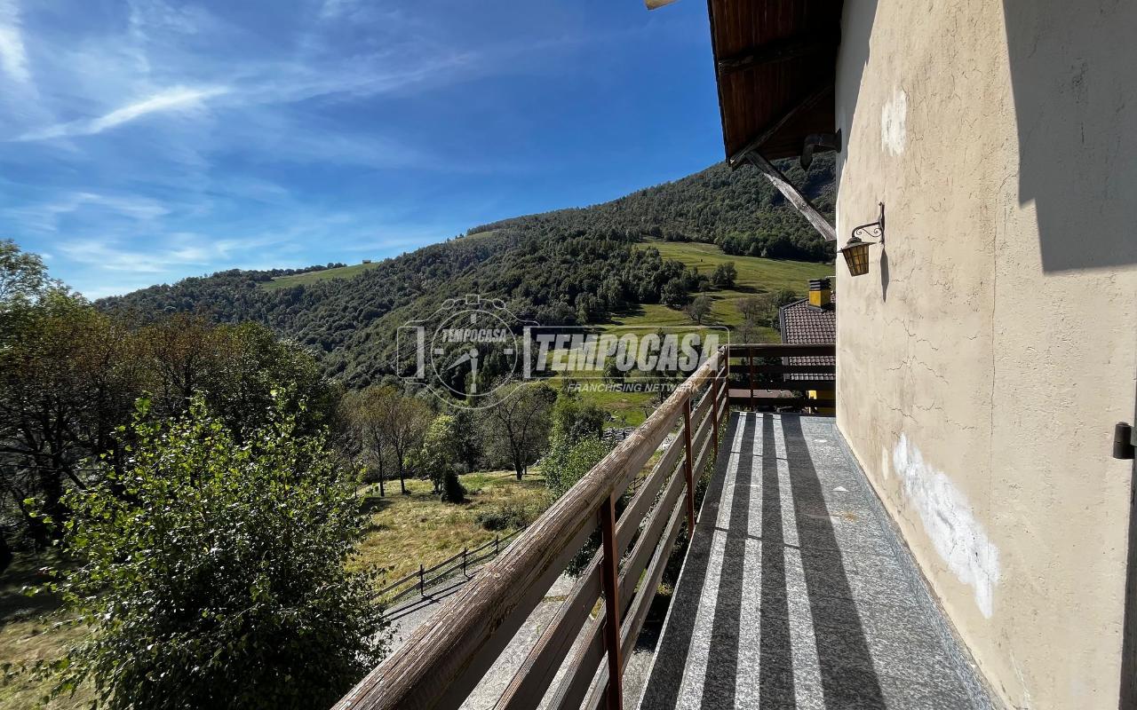 immagine annuncio 2 di 14