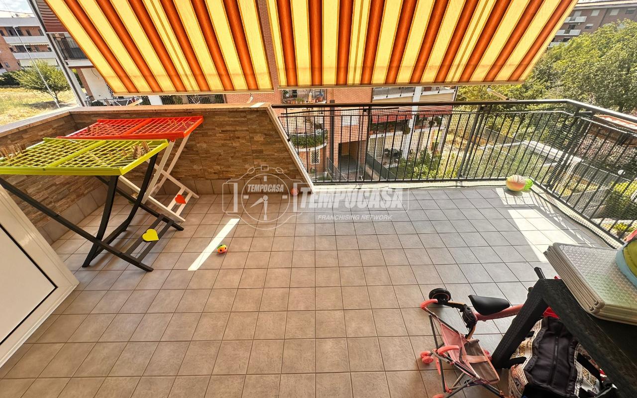 immagine annuncio 12 di 15