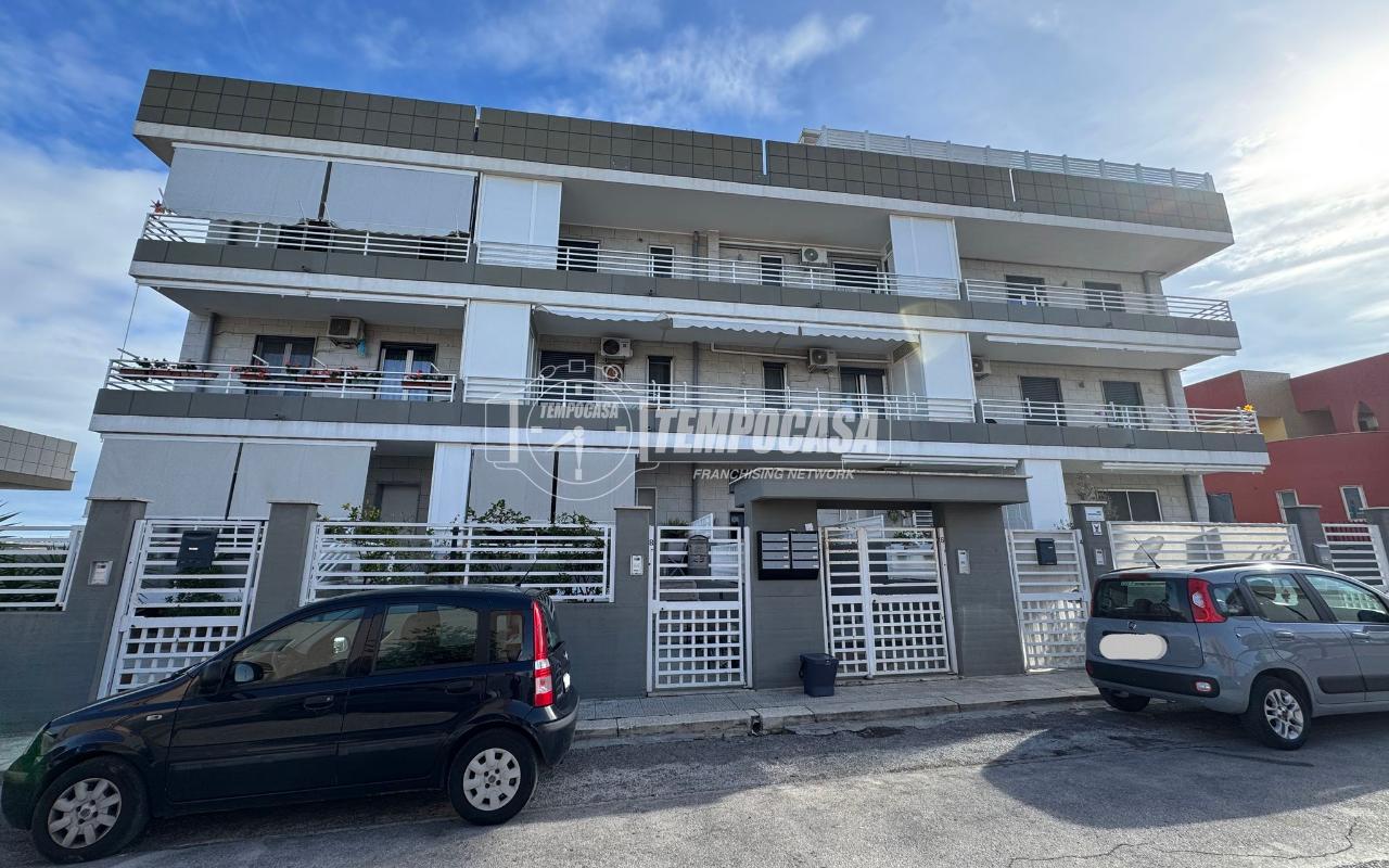 immagine annuncio 12 di 14