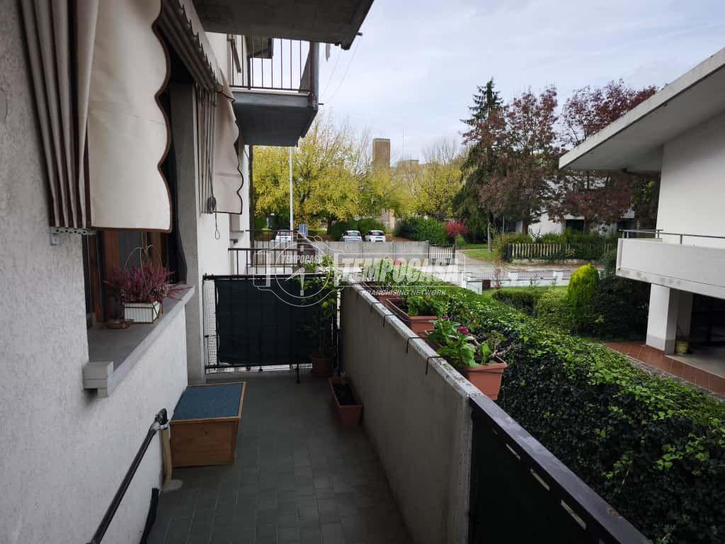 immagine annuncio 7 di 15