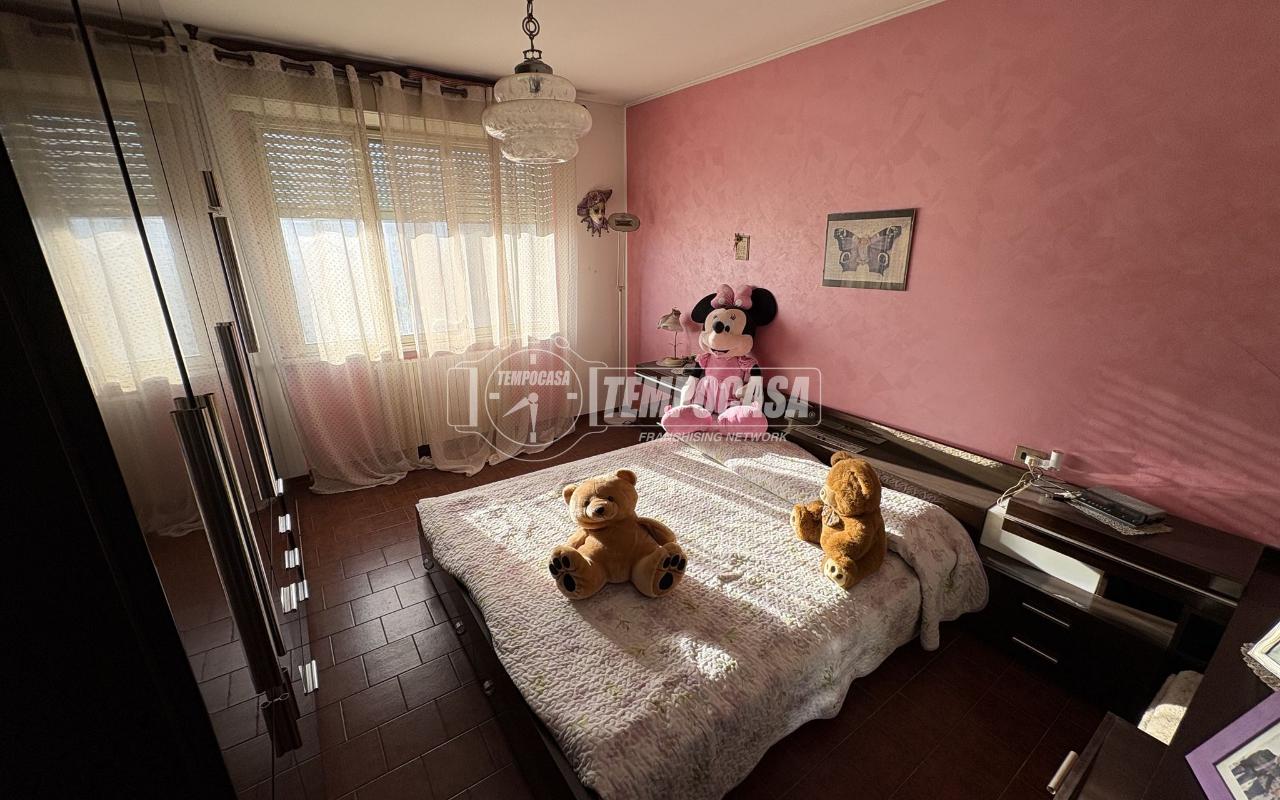 immagine annuncio 11 di 14