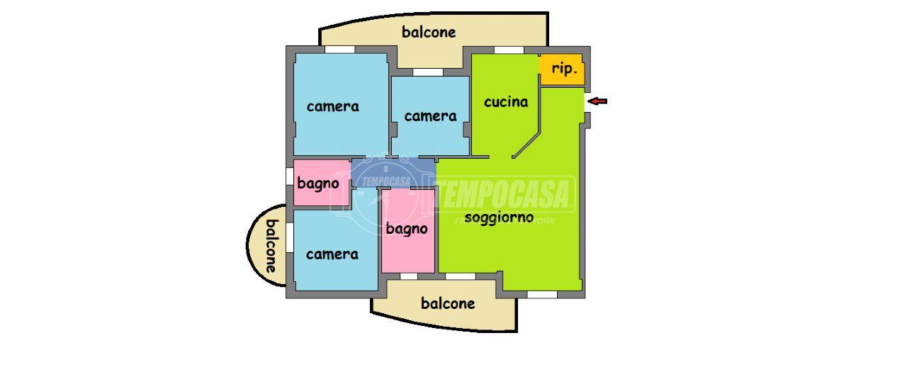 immagine annuncio 1 di 15