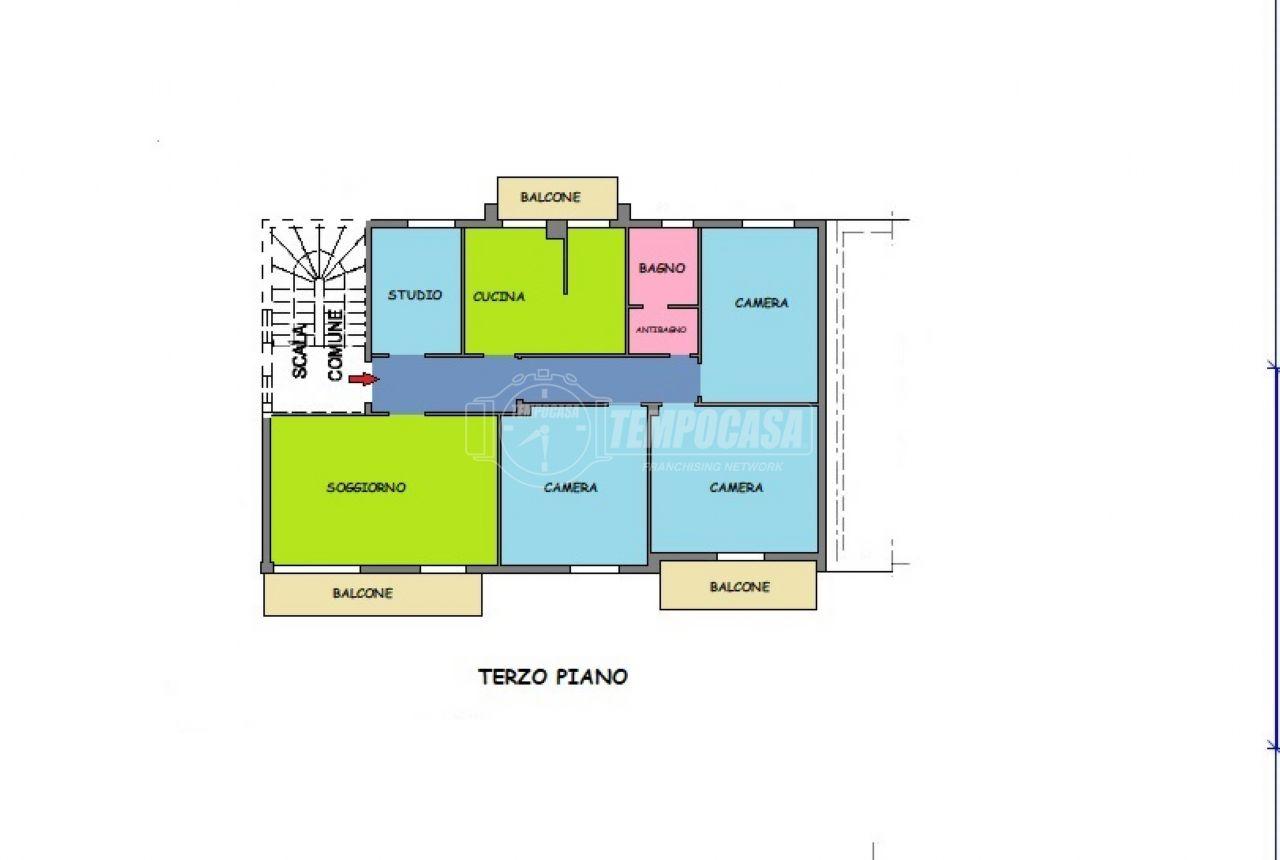 immagine annuncio 5 di 15