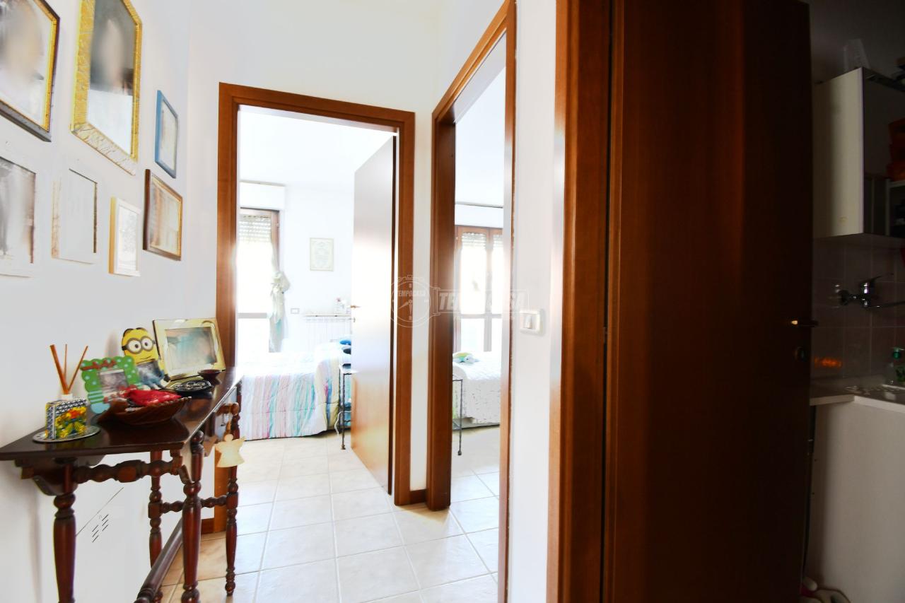 immagine annuncio 3 di 12