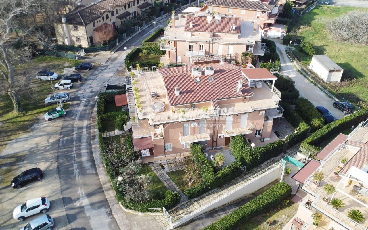 immagine annuncio 5 di 14