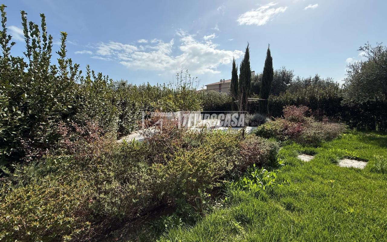 immagine annuncio 10 di 14