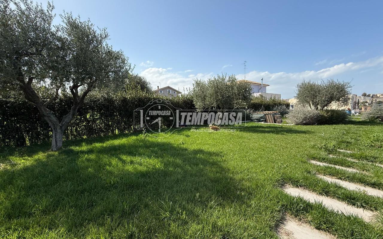immagine annuncio 12 di 14