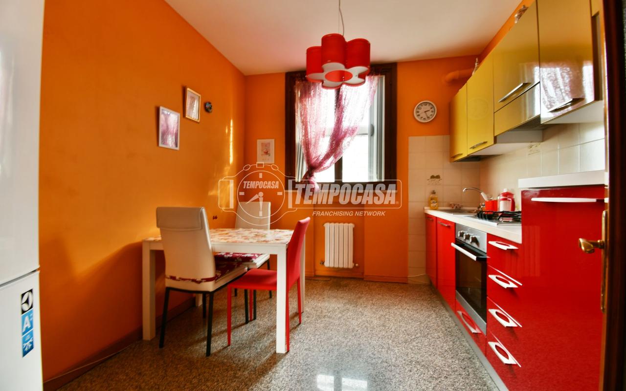 immagine annuncio 1 di 14