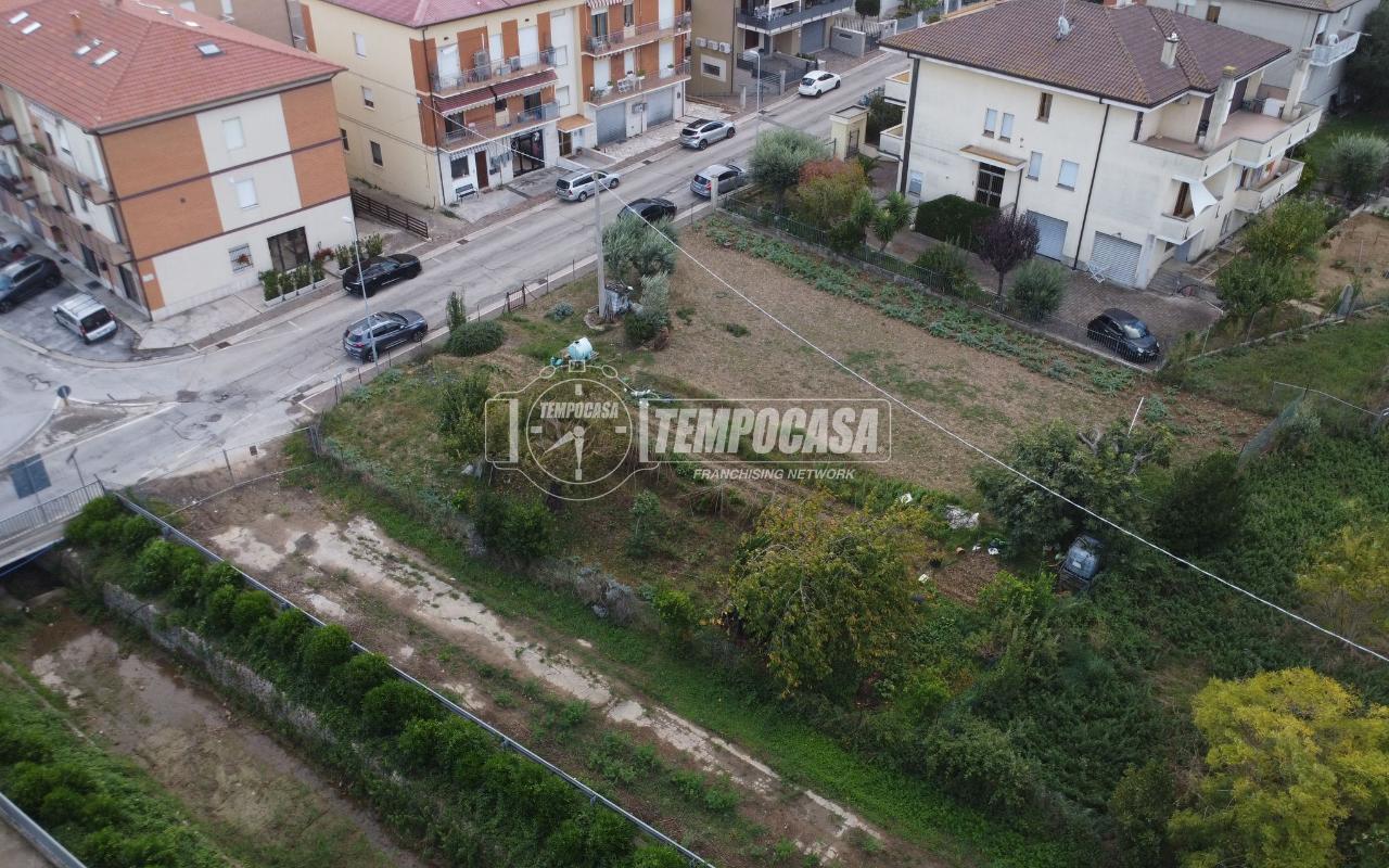 immagine annuncio 8 di 12