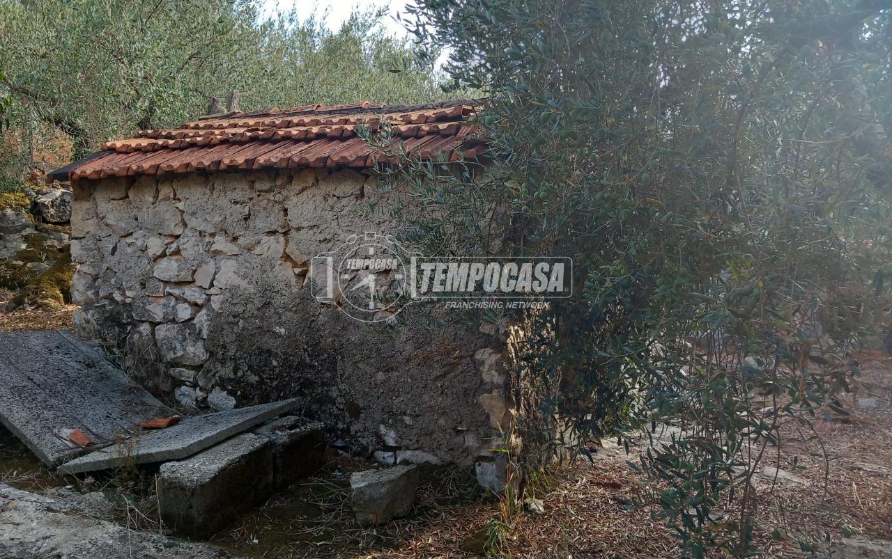 immagine annuncio 3 di 7