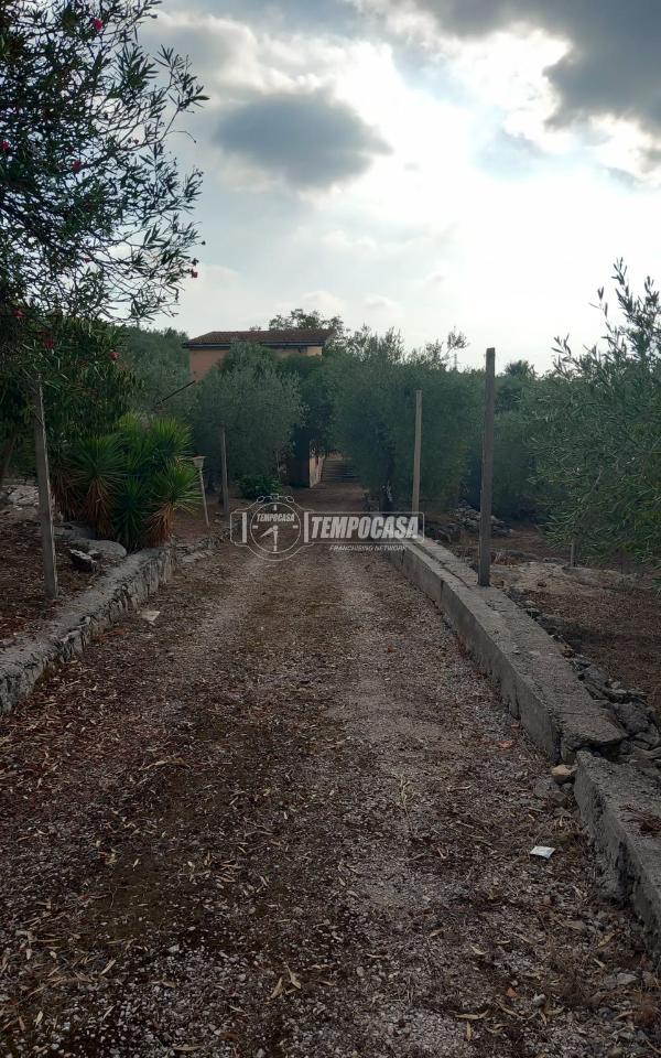 immagine annuncio 1 di 7