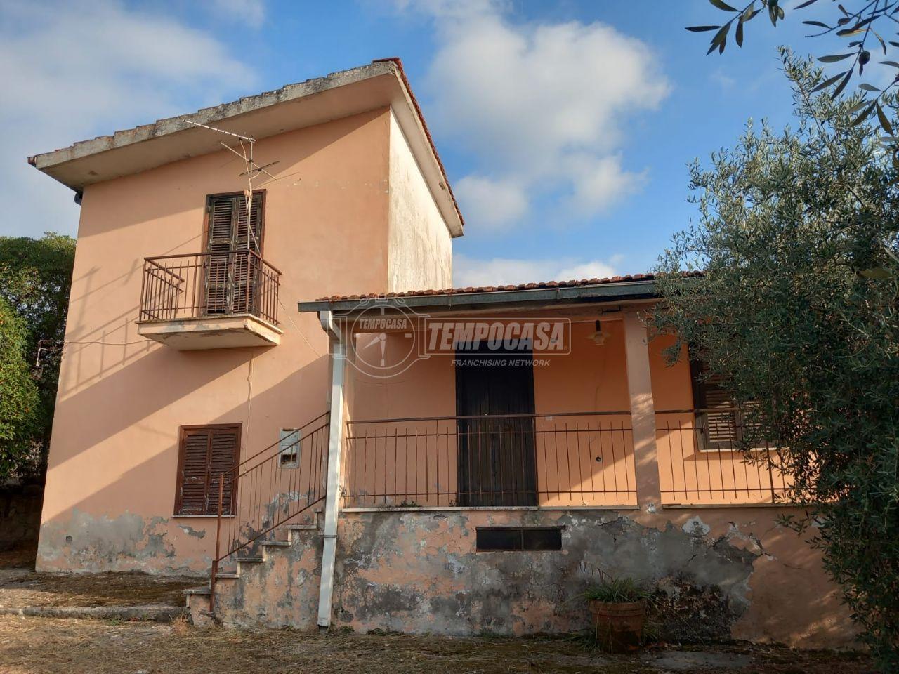 immagine annuncio 2 di 7