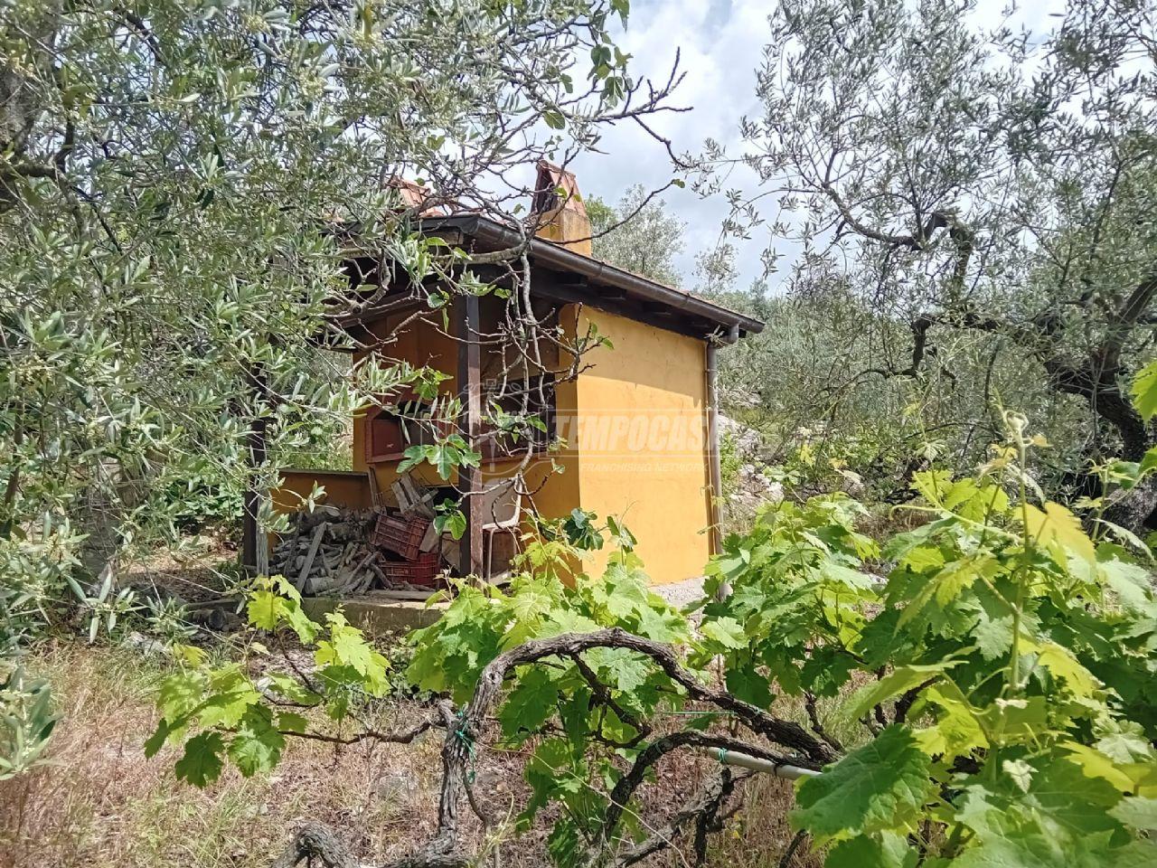 immagine annuncio 2 di 9
