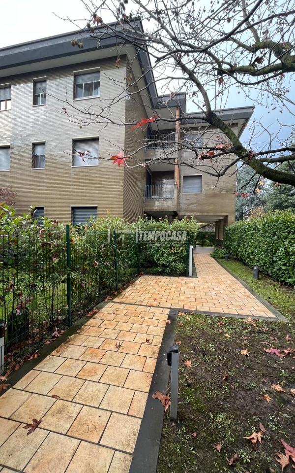 immagine annuncio 5 di 12