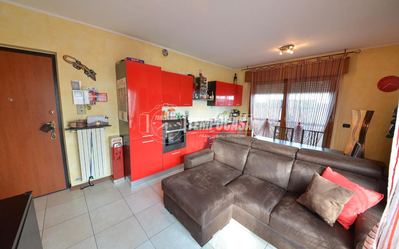 immagine annuncio 3 di 11