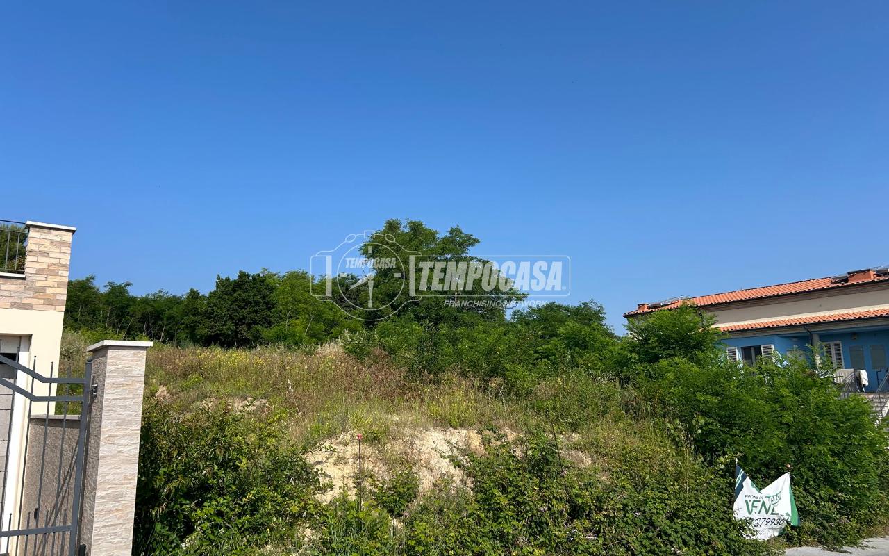 immagine annuncio 3 di 11