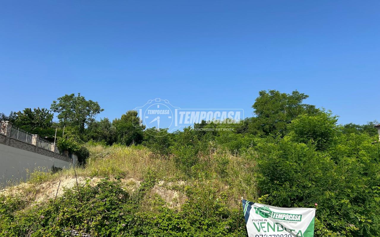 immagine annuncio 2 di 11