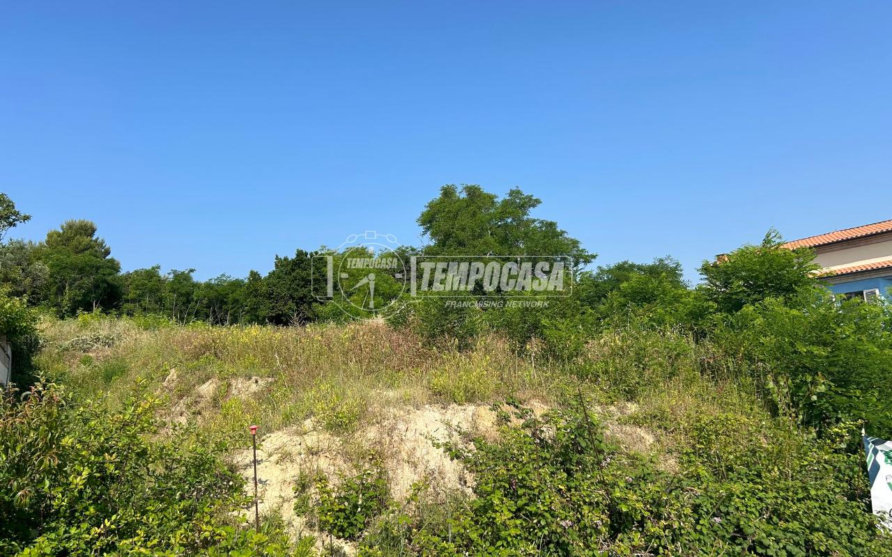 immagine annuncio 5 di 11