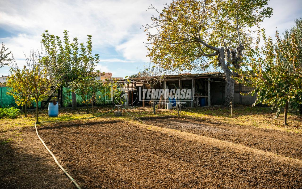 immagine annuncio 7 di 13