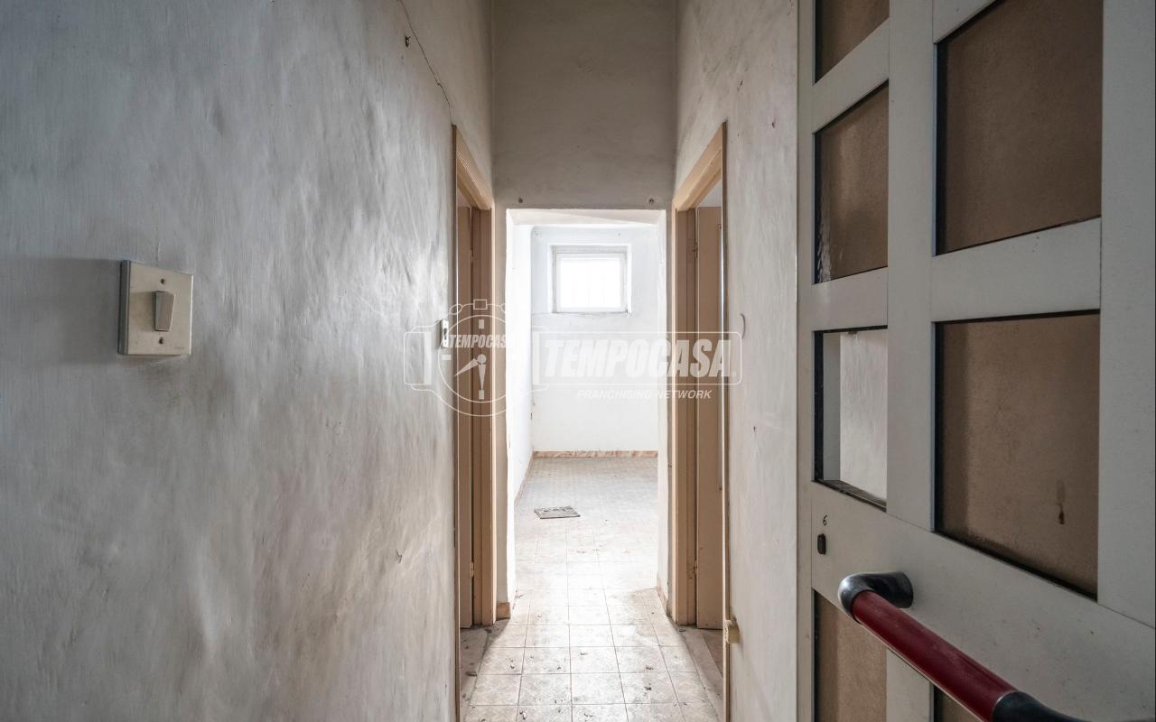 immagine annuncio 7 di 14