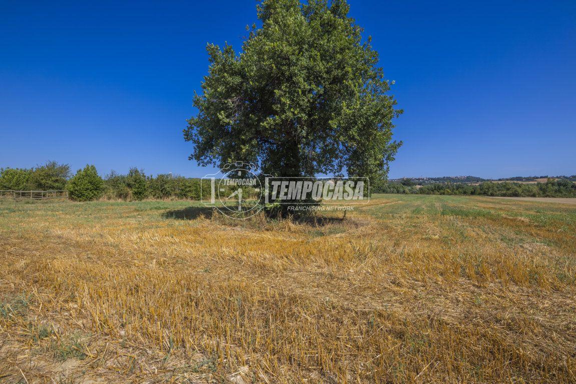 immagine annuncio 10 di 14