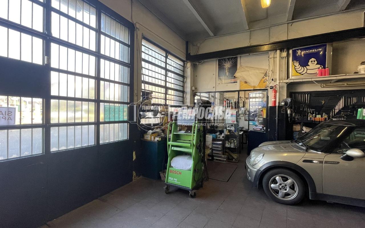 immagine annuncio 6 di 15