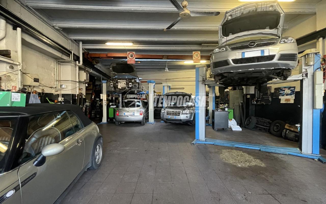 immagine annuncio 2 di 15