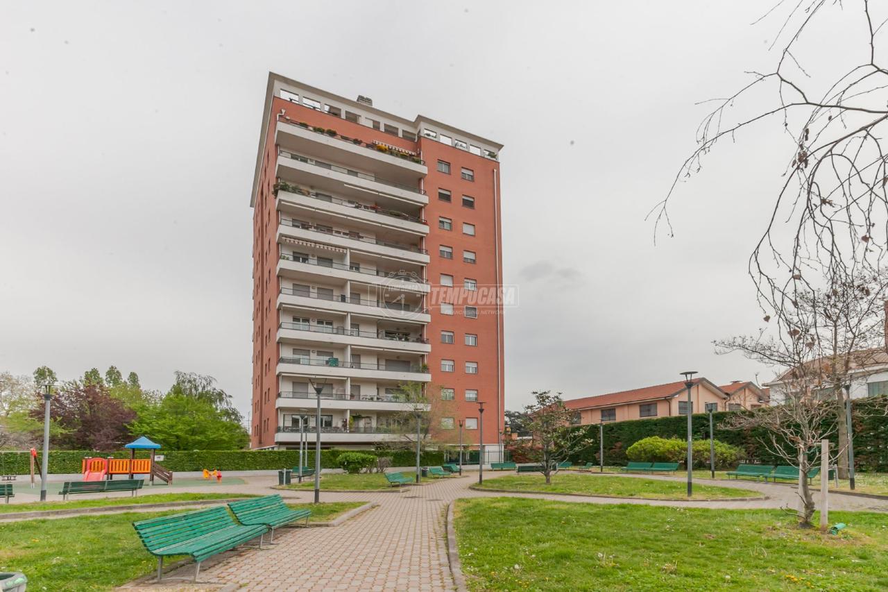 immagine annuncio 11 di 15