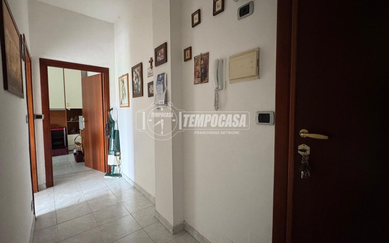 immagine annuncio 11 di 13