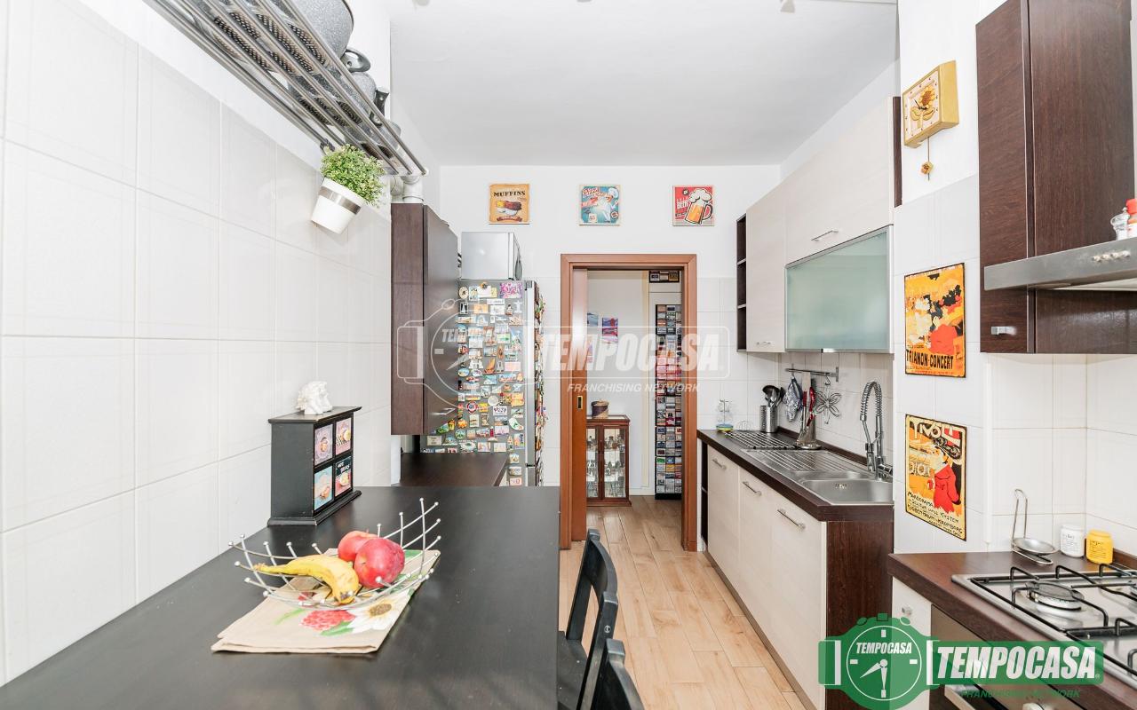 immagine annuncio 5 di 15