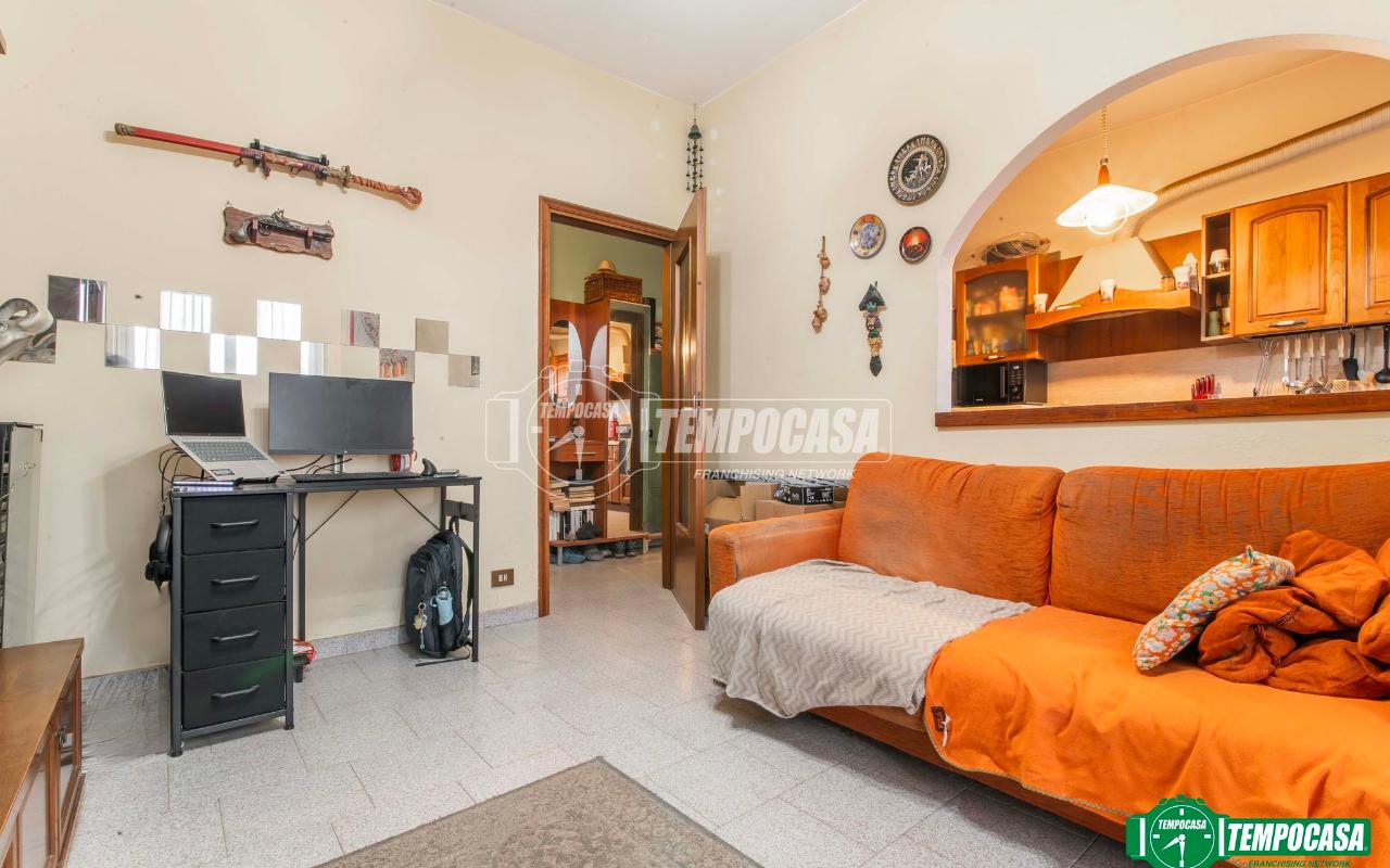 immagine annuncio 6 di 14