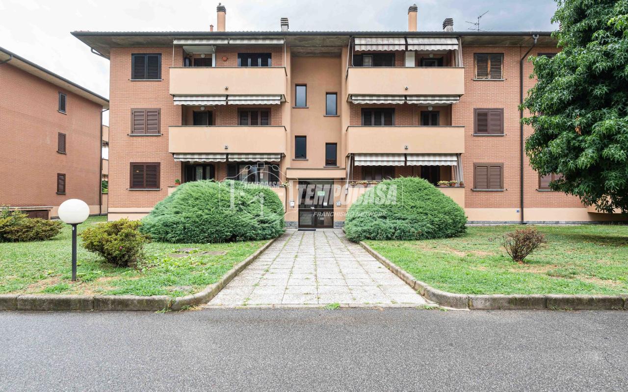 immagine annuncio 3 di 15