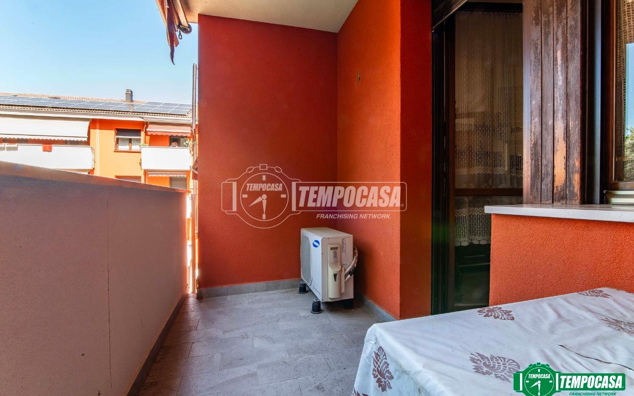 immagine annuncio 7 di 15