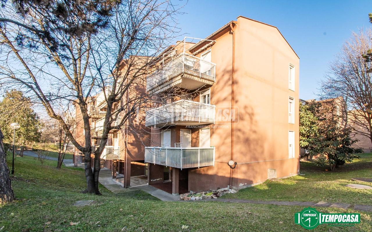 immagine annuncio 14 di 15