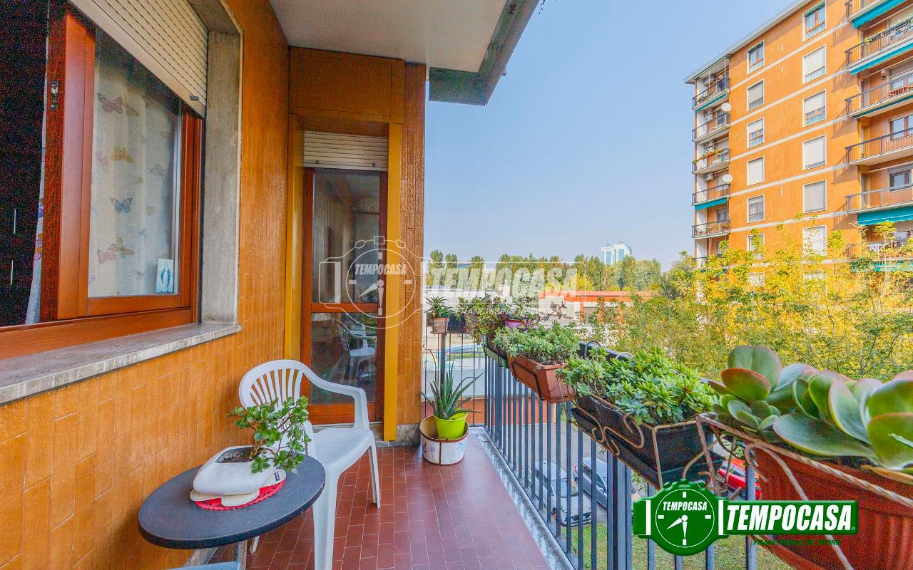 immagine annuncio 2 di 12