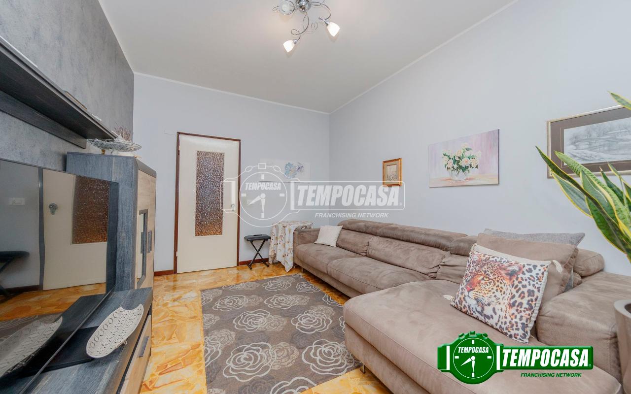 immagine annuncio 3 di 13