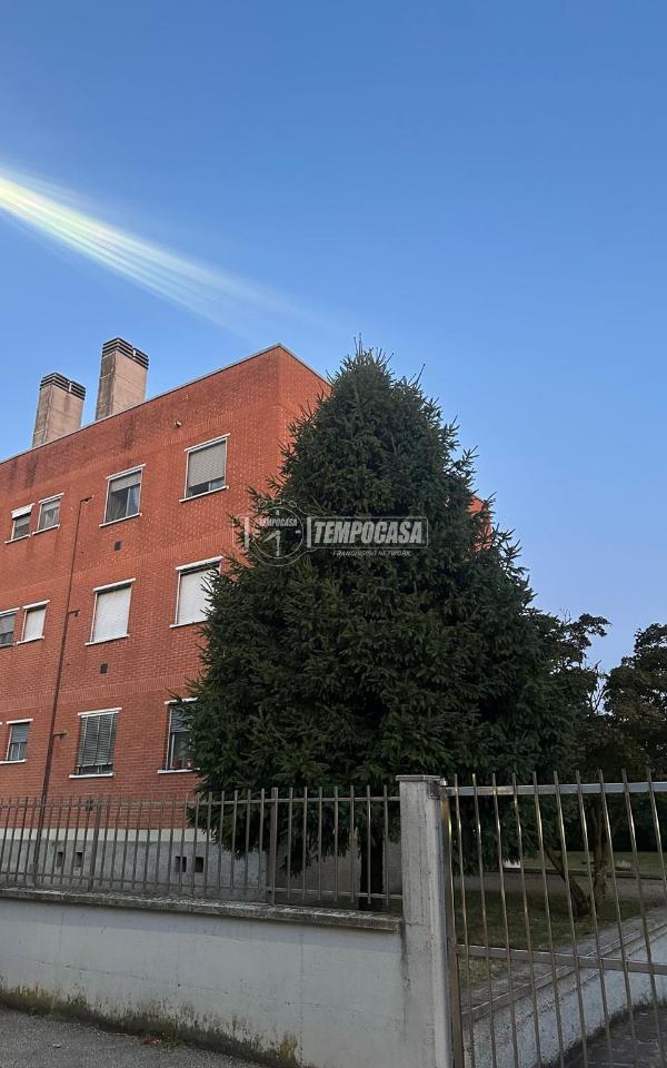 immagine annuncio 9 di 11