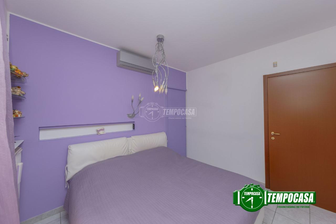 immagine annuncio 9 di 14