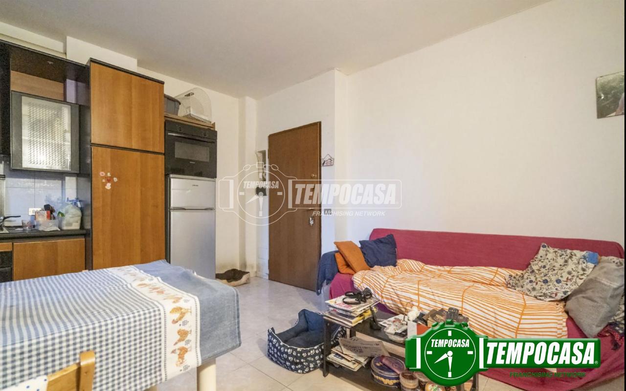 immagine annuncio 3 di 12