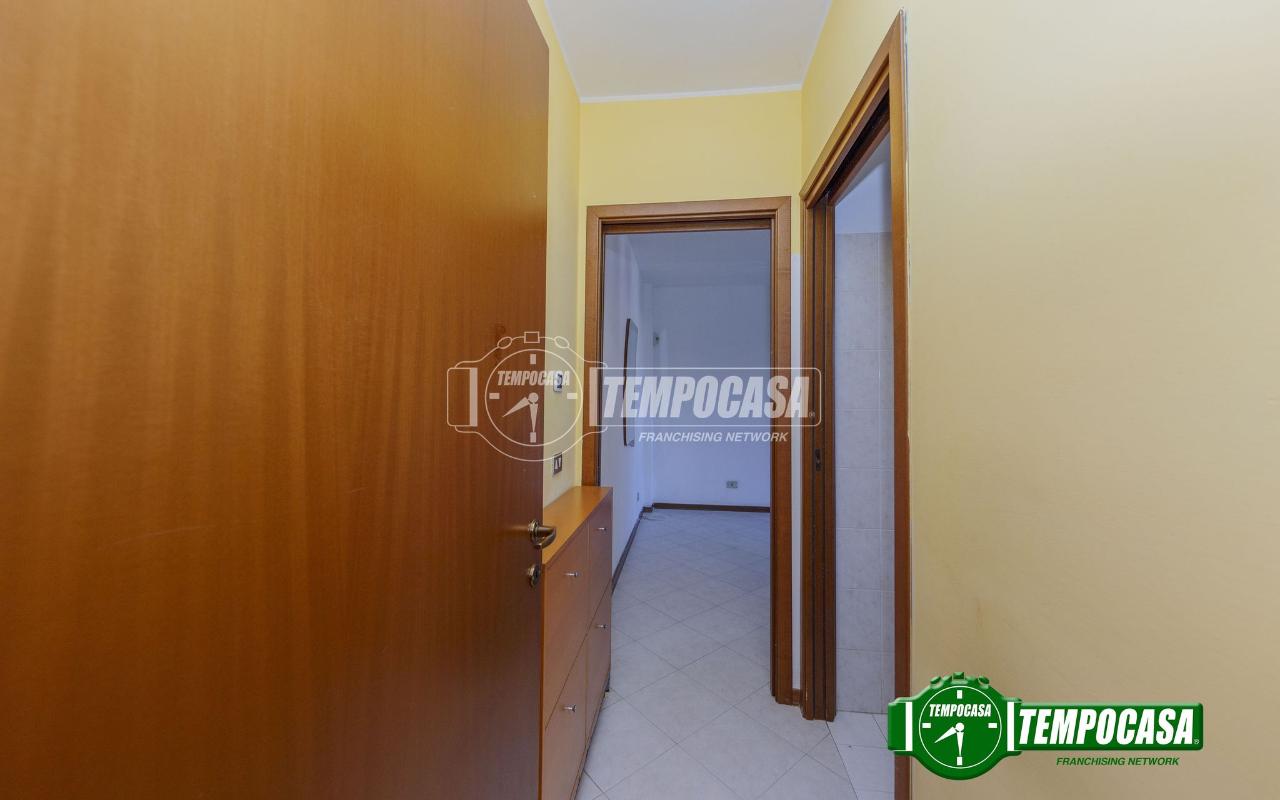 immagine annuncio 9 di 13