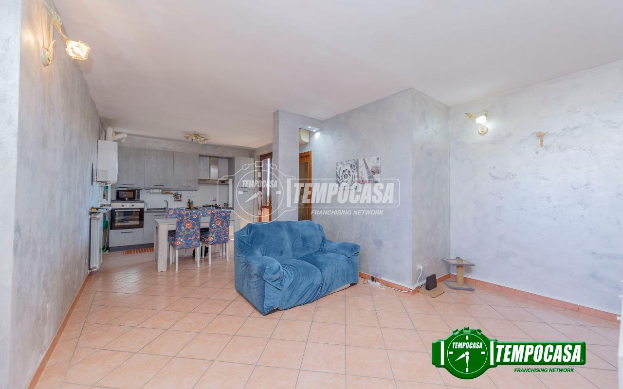 immagine annuncio 5 di 11