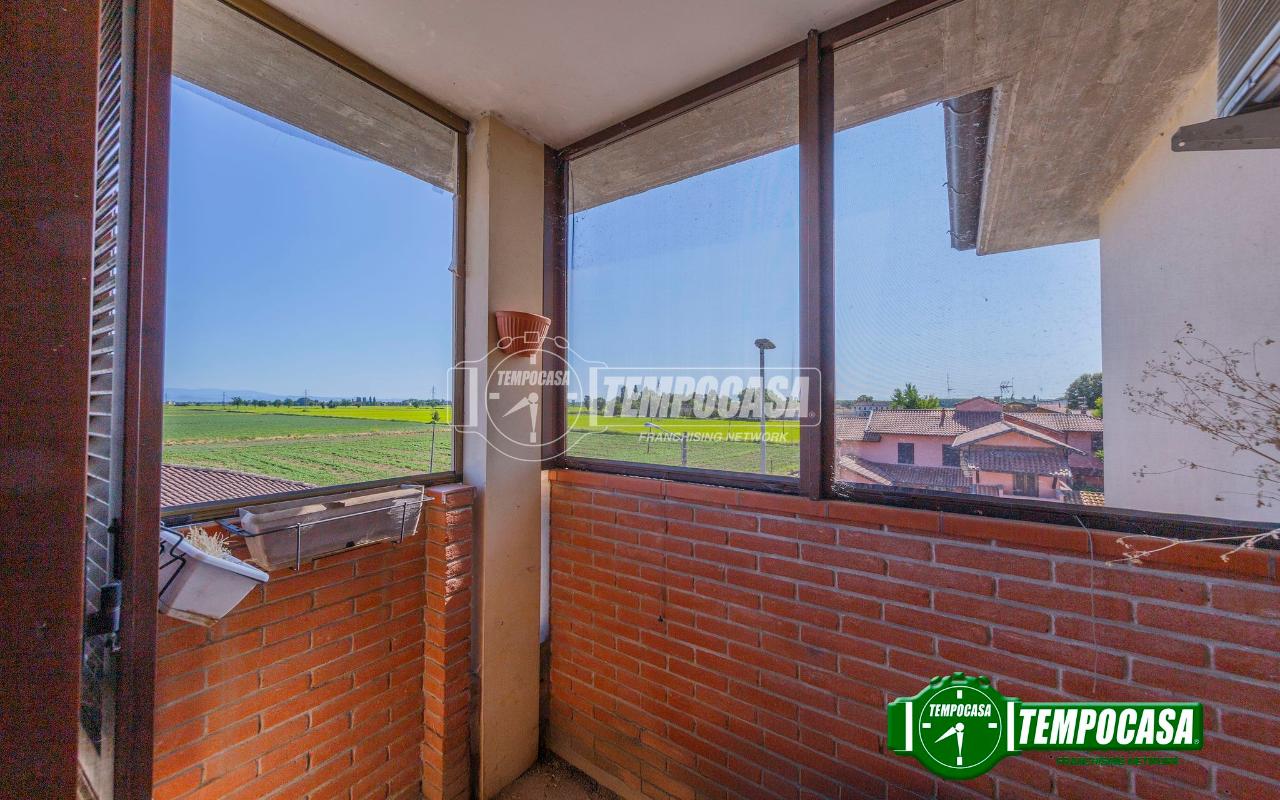 immagine annuncio 6 di 11