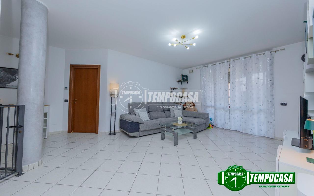 immagine annuncio 3 di 13