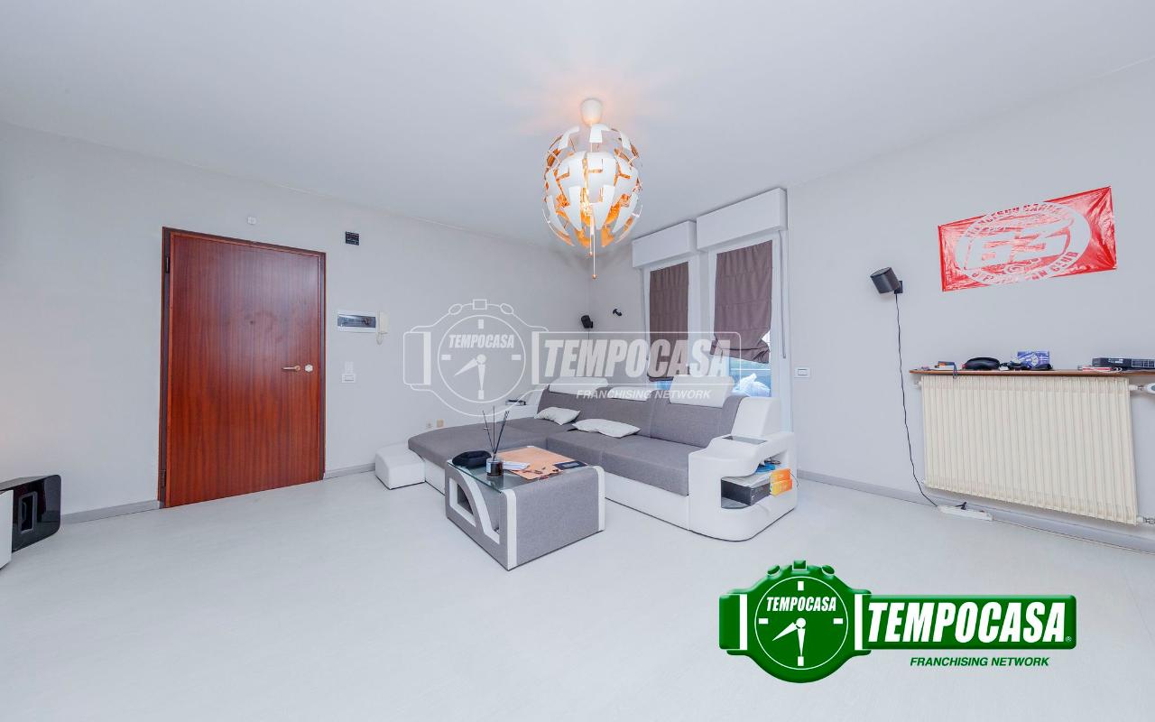 immagine annuncio 2 di 14