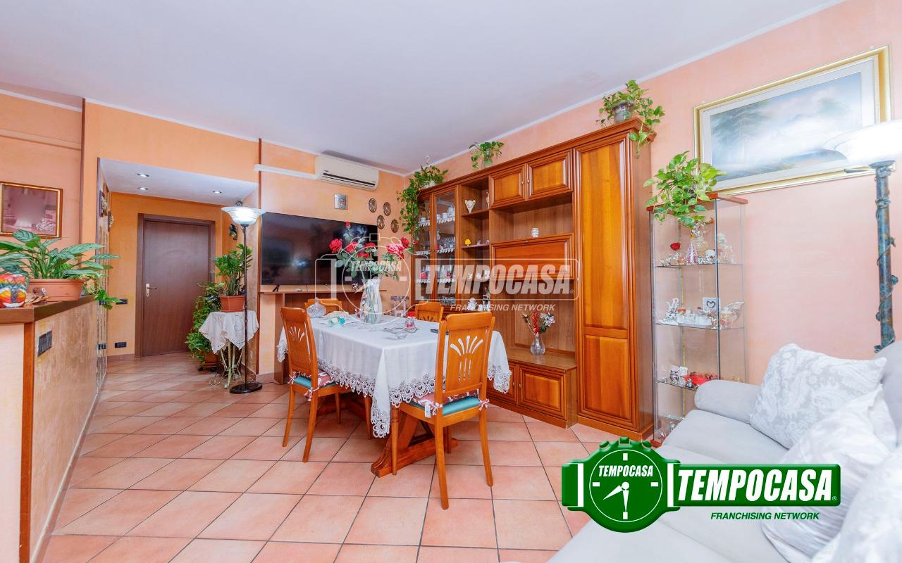 immagine annuncio 2 di 12