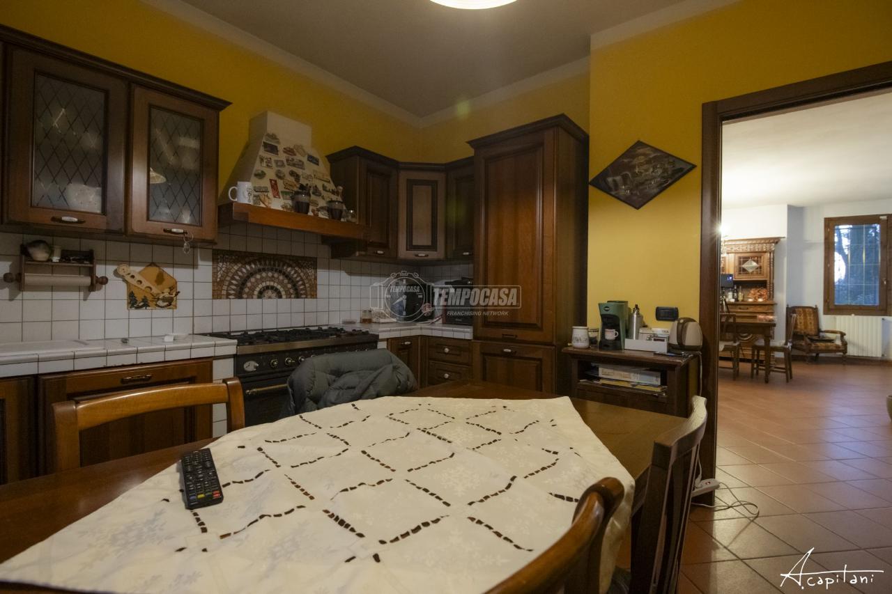immagine annuncio 5 di 14