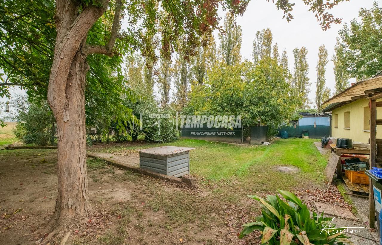 immagine annuncio 6 di 14