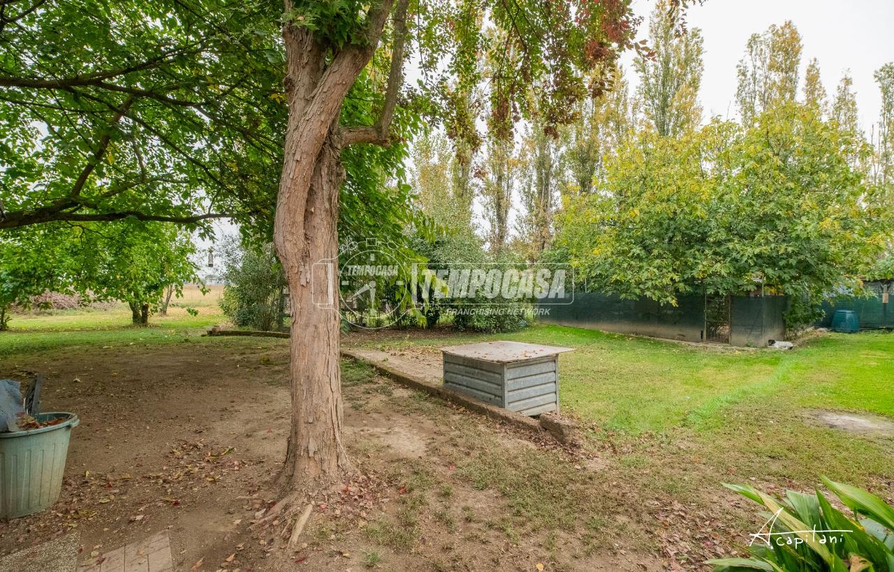 immagine annuncio 7 di 14