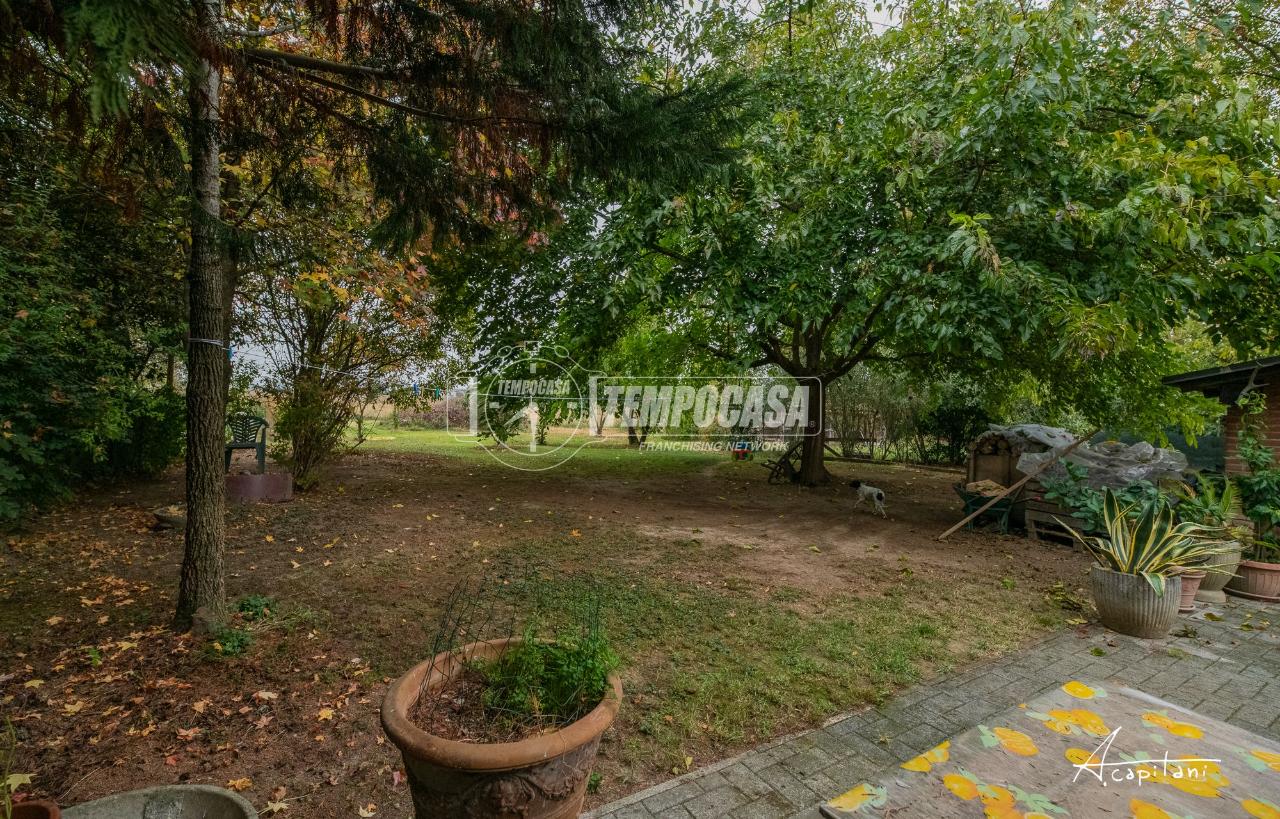 immagine annuncio 8 di 14