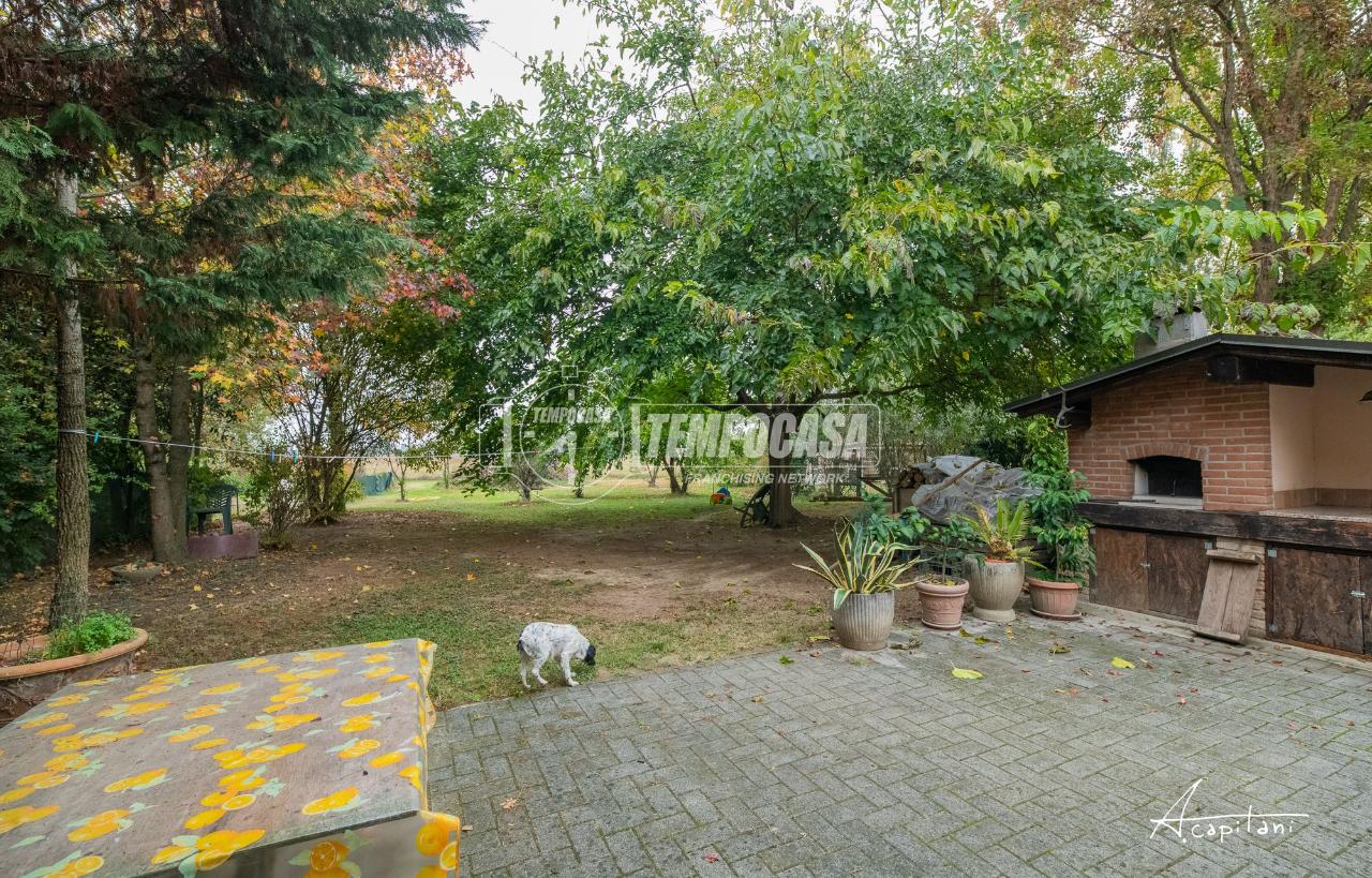 immagine annuncio 12 di 14